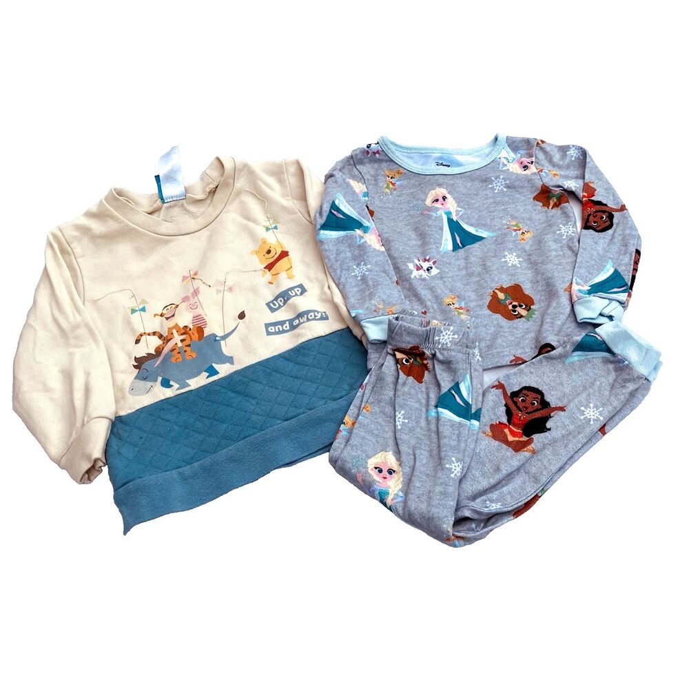 Disney 3T Toddler Pajamas Sweatshirt Set Pooh Tigger Princess Elsa Lady Dog